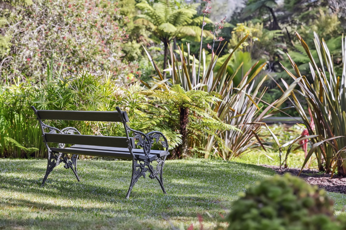 Rapaura Watergarden Thames NZ